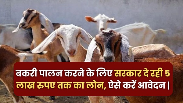 Bakri Palan Yojana